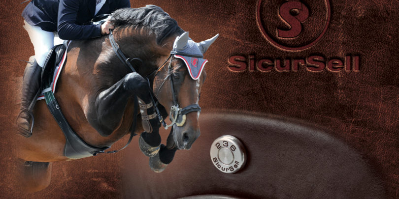 2015_brochure_01_jpg 2