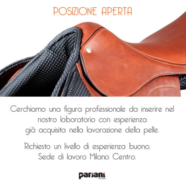 cerchiamo nuova figura professionale - pariani