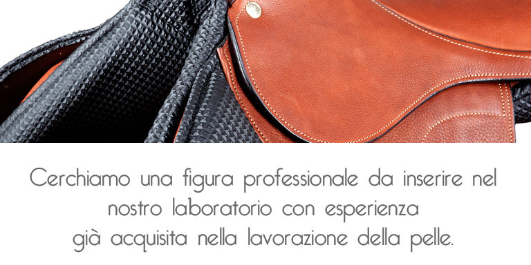 image002 cerchiamo nuova figura professionale - pariani