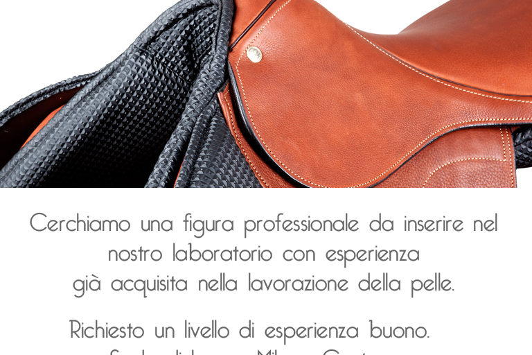 cerchiamo nuova figura professionale - pariani