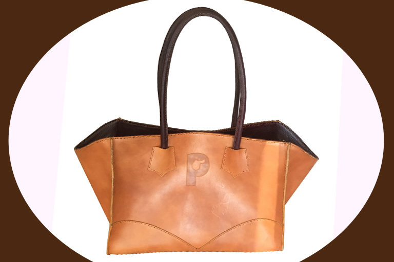 pariani handbag lifestyle collection