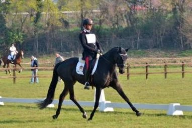 Stefano Brecciaroli and Roulette B