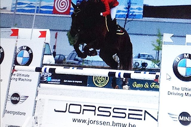 05_melissa ambrosetti_donathilla_winner_gp lier_2015_pariani
