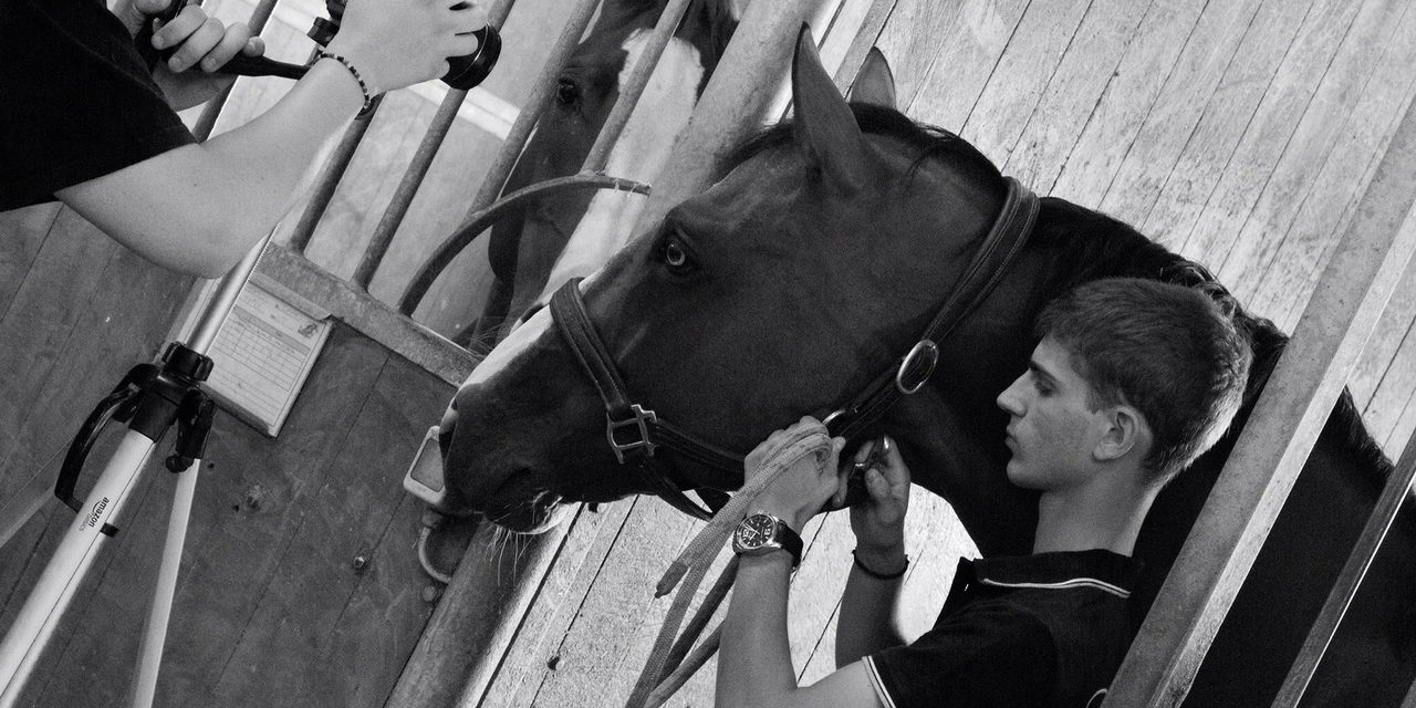 filippo bologni_pariani_musica equestre filippo bologni_pariani_musica equestre