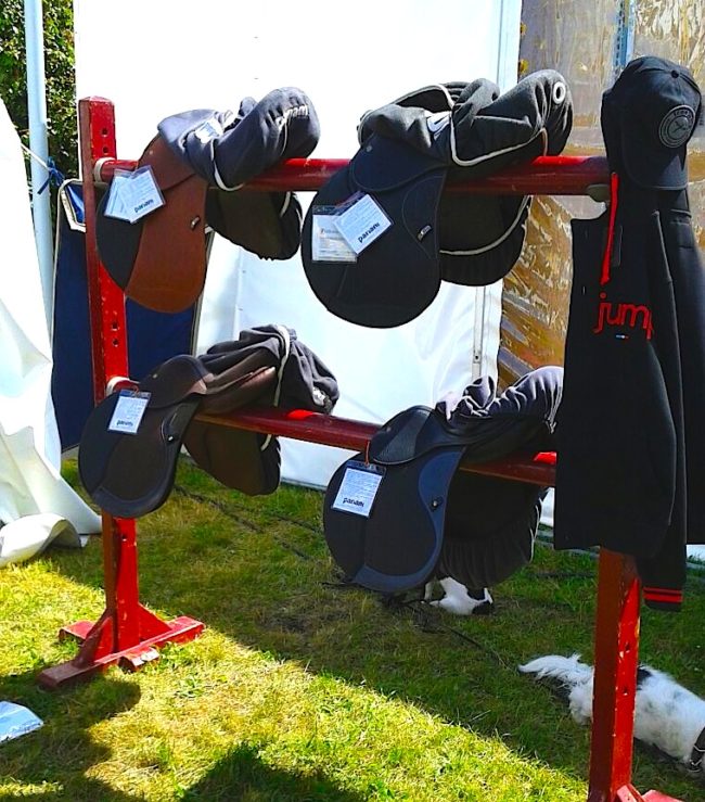 Pariani_Falsterbo_2015 Pariani_Falsterbo_2015