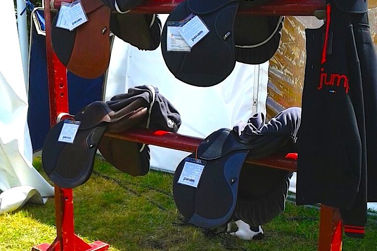 Pariani_Falsterbo_2015