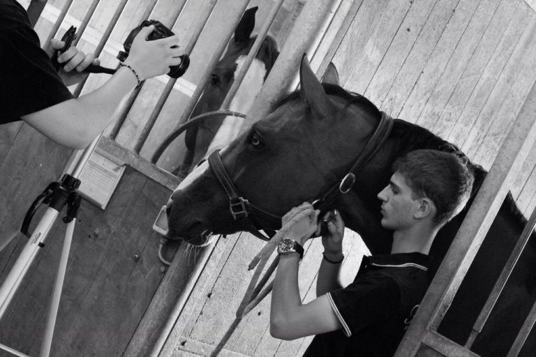 filippo bologni_pariani_musica equestre