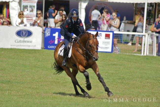 vittoria panizzon_merlots magic_second_wellington 2015 vittoria panizzon_merlots magic_second_wellington 2015