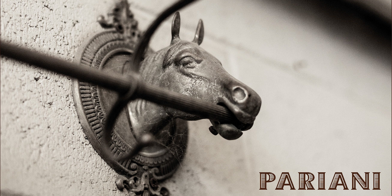 ParianiBoutique_press