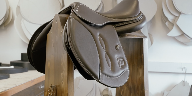 Pariani_saddle